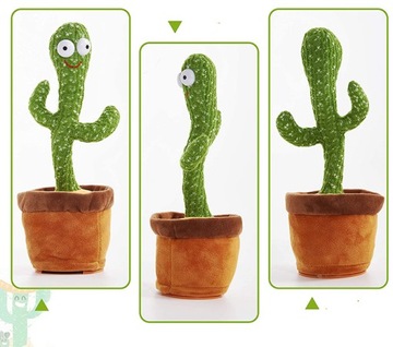 КАКТУС ПОЕТ, БЕЛЫЙ УГОРЬ ТАНЦУЕТ, ПОВТОРЯЕТ СИЯНИЕ