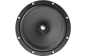 FOCAL AUDITOR EVO ASE-165 -2х НЧ динамика + FOCAL LEASH