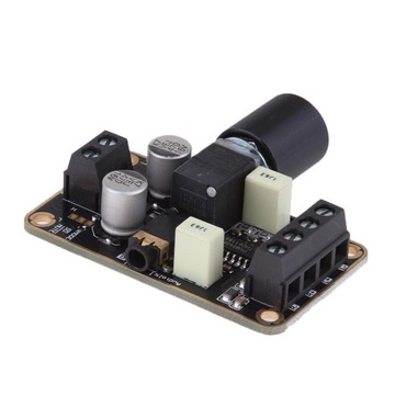 PAM840 Audio *Двухканальная стереоплата мощностью 5 Вт, 5 В.