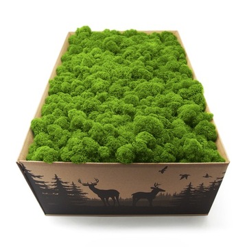 Mech chrobotek fiński 4kg netto