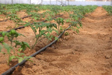 КАПЕЛЬНЫЙ ШЛАНГ/ЛИНИЯ 100м с КОМПЕНСАЦИЕЙ Fi16мм 1,6л/ч каждые 33см