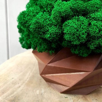 Doniczka z mchem chrobotkiem MECH CHROBOTEK w doniczce brązowa druk 3d