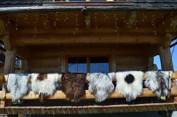 Овчина с вьющимися волосами Island XXXL, много цветов