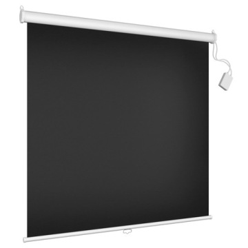 Проекционная экрана 113 