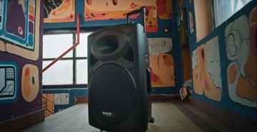 Звуковая система PORTY с FM USB TWS, микрофонами UHF, аккумулятором и подставками