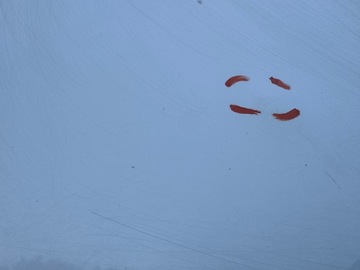 MERCEDES V-CLASS VITO W447 14R- ДВЕРЬ ЗАДНЯЯ ЛЕВАЯ ЛЕВАЯ ЗАДНЯЯ