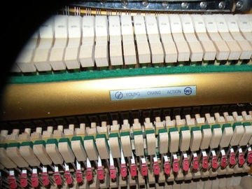 МОЛОДОЙ ЧАНГ ПИАНО лицензия Yamaha !!!!