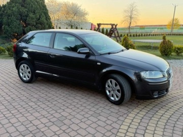 Audi A3 8P Hatchback 3d 1.6 102KM 2004 Audi A3 3-drzwiowe 1.6mpi 102KM Klima Alusy Grzane fotele Sprawdz 1.6, zdjęcie 33