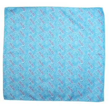 Raypath zestaw Samochodowy do Czyszczenia 3xrękawica M + ściereczka Sunbeam