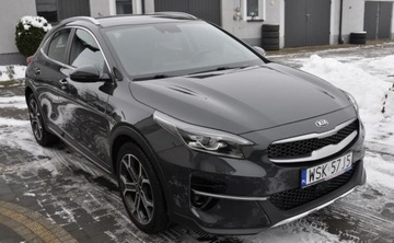 Kia XCeed Crossover 1.5 T-GDI 160KM 2021 Kia XCeed KIA XCeed 1,5 T-GDI 160KM 102021R OPF Oryginal Fa 23 1.5, zdjęcie 3