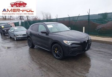 Alfa Romeo Stelvio SUV Facelifting 2.0 Turbo 280KM 2020 Alfa Romeo Stelvio TI 2020 2.0l 2.0 Benzyna 280KM