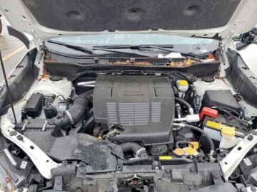 Subaru Forester VI 2024 Subaru Forester Wilderness 2024 2.5 Benzyna 182KM, zdjęcie 6