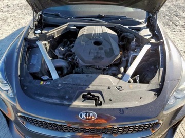 Kia Stinger 2020 Kia Stinger 2020 2.0L 2.0 Benzyna 255KM, zdjęcie 6