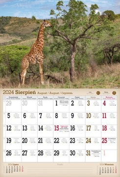Настенный календарь А3 на 2024 год. Дикие животные.