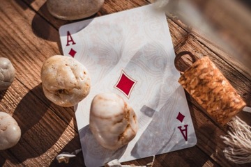 Карты Bicycle Sea King