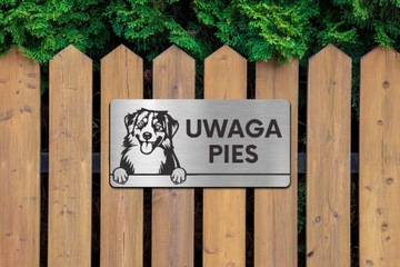 ЗНАК ВНИМАНИЕ ПЛОХАЯ СОБАКА Австралийская овчарка ЗНАК ВНИМАНИЕ ПЛОХАЯ СОБАКА