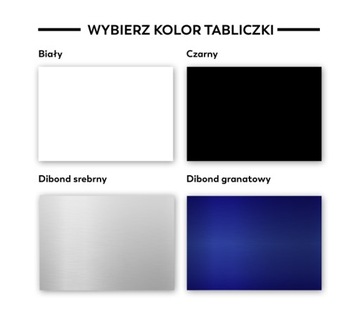 Numer Domu podświetlany LED 40x30 cm KOLORY 230V