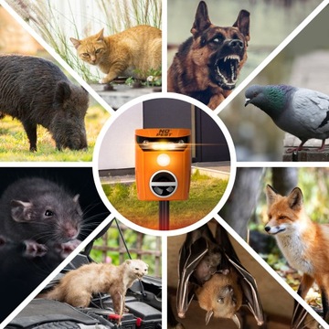 УЛЬТРАЗВУКОВОЙ ОТПУСКАТЕЛЬ ДЛЯ КОШЕК, СОБАК, ЛИС, КАБАНОВ, КОСУЛЕЙ, БЕЗ ВРЕДИТЕЛЕЙ