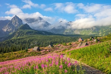 Книга САМЫЕ КРАСИВЫЕ ПУТИ В ТАТРАХ.