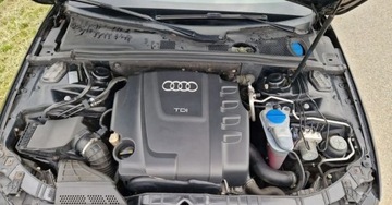 Audi A4 B8 Avant 2.0 TDI 170KM 2010 Audi a4 2.0 TDI CR 170KM LED Bi-Xenon Navi 2.0 Diesel 170KM, zdjęcie 5
