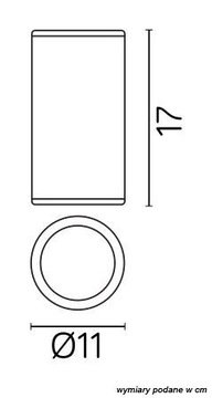 Накладной серебряный террасный точечный светильник ADELA