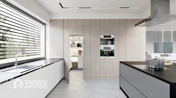 Проект дома Pióro Architekci-20 Базовая версия