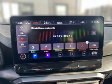 Cupra Formentor Crossover 2.0 TSI 310KM 2024 Cupra Formentor 2.0 TSI 310KM 4Drive Navi System+, zdjęcie 24