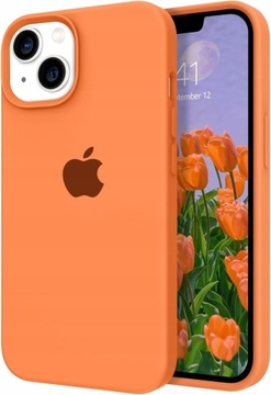 Чехол для iPhone 13 ЦВЕТА