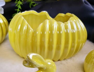 DONICZKA/OSŁONKA SKORUPKA ŻÓŁTA PERŁOWA