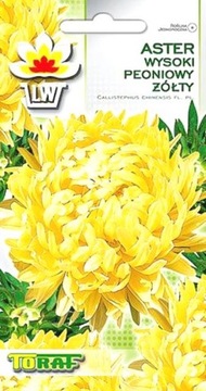 Aster wysoki peoniowy ŻÓŁTY nasiona 1g PRZEPIĘKNE ŻÓŁTE KWIATY