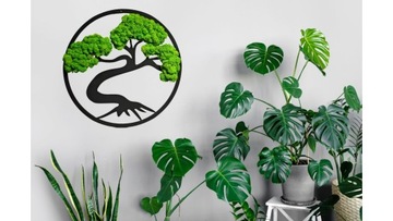 Бонсай древесный мох Премиум изображение 60 см