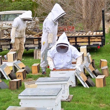 ТОЛСТОВКА ДЛЯ ПЧЕЛОВОДСТВА, СЪЕМНАЯ ШАПКА, РАЗМЕР XL Z + ПЕРЧАТКИ