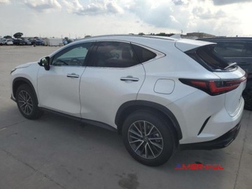 Lexus NX II 2024 Lexus NX 2024 r., 2,5L 350H BASE 2.5 Hybryda 240KM, zdjęcie 3