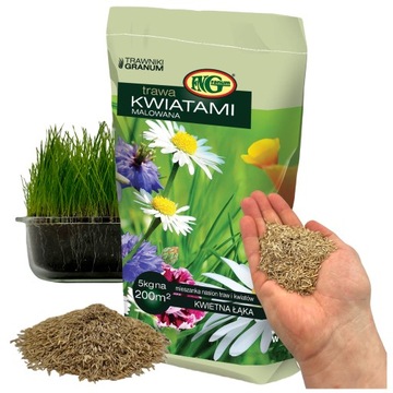 ŁĄKA KWIETNA Trawnik KWIATOWY 5 kg MIX MIODODAJNE