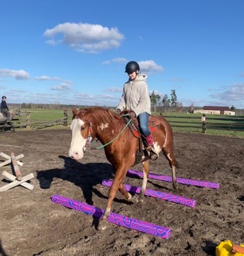 HorseMania - шесты для препятствий - набор 3шт 2,2мх10, схема 1