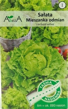 Sałata Mix Odmian nasiona na taśmie 6m