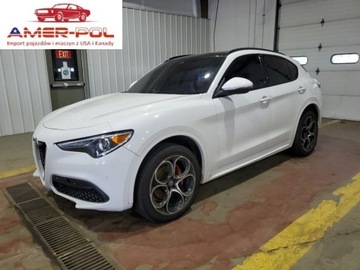 Alfa Romeo Stelvio SUV Facelifting 2.0 Turbo 280KM 2021 Alfa Romeo Stelvio TI 2021 2.0l 2.0 Benzyna 280KM