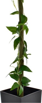 ИСКУССТВЕННОЕ ДЕРЕВО ЛИСТЬЯМИ МАНГО ЦВЕТОЧНЫЙ ГОРШОК УКРАШЕНИЕ ДЛЯ ГОСТИНОЙ ИСКУССТВЕННЫЕ ЦВЕТЫ ОТЕЛЯ