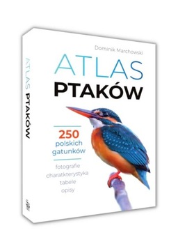ATLAS PTAKÓW 250 polskich gatunków TWARDA Dominik Marchowski SBM 0374
