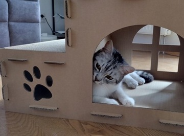 Картонный кошачий домик, Картонная когтеточка