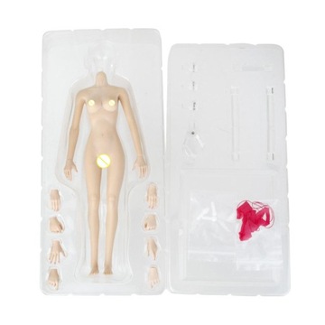 Skala 1/6 Małe popiersia Body Rubber Normal