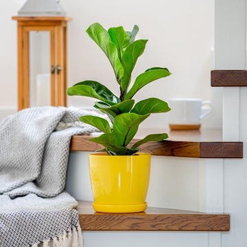 DONICZKA DONICA Z PODSTAWKĄ NA KWIATY OSŁONKA OKRĄGŁA 16 cm PLASTIK ŻÓŁTA