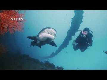 Спортивные часы Suunto Ocean Sand