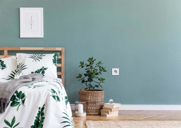 Одинарная рама Белый Schneider Asfora