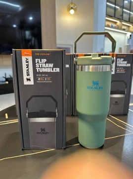 Кружка для термальной воды Stanley IceFlow