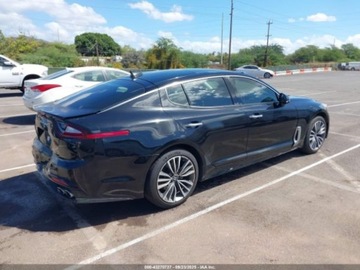 Kia Stinger 2019 Kia Stinger Premium 2019 2.0l 2.0 Benzyna 255KM, zdjęcie 5