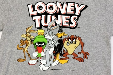 Koszulka męska T-shirt Looney Tunes Zwariowane Melodie r. M szara nadruk