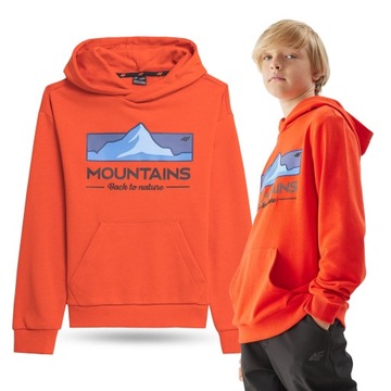 СВИТШОТ С КАПЮШОНОМ 4F ДЛЯ МАЛЬЧИКОВ AW23M634