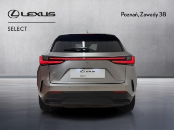 Lexus NX II SUV Facelifting 2.5 350h 243KM 2024 Lexus NX 350h Prestige 2WD II (2021-) CESJA KINTO, zdjęcie 6