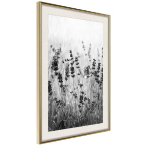 Obrazy do Kuchni Kwiaty Łąka 20x30 Rama złota